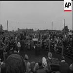 NEW FOREST PONIES (1968)