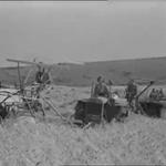 Land Girls Get The Harvest (1941)