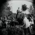 Eve And The Holly Harvest (1919)