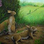 Finn's Country: Painting Watership Down (2016)