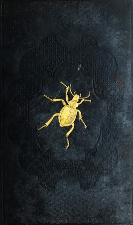 A Manual of British Coleoptera or Beetles